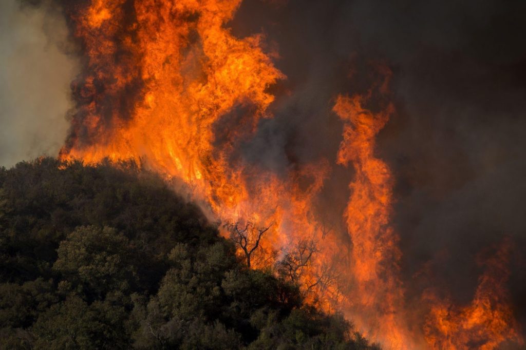 Fires in nature don't just destroy thousands of hectares of land, they contribute to carbon emissions and pose a significant threat to humans and developments