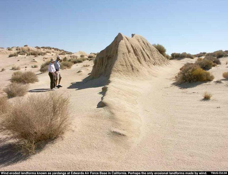 Hot deserts are notable for their high temperatures, lack of water, and low biodiversity