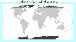 geography tundra region essay