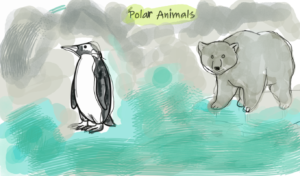 animals and plants are uniquely adapted to living in tundra and polar environments