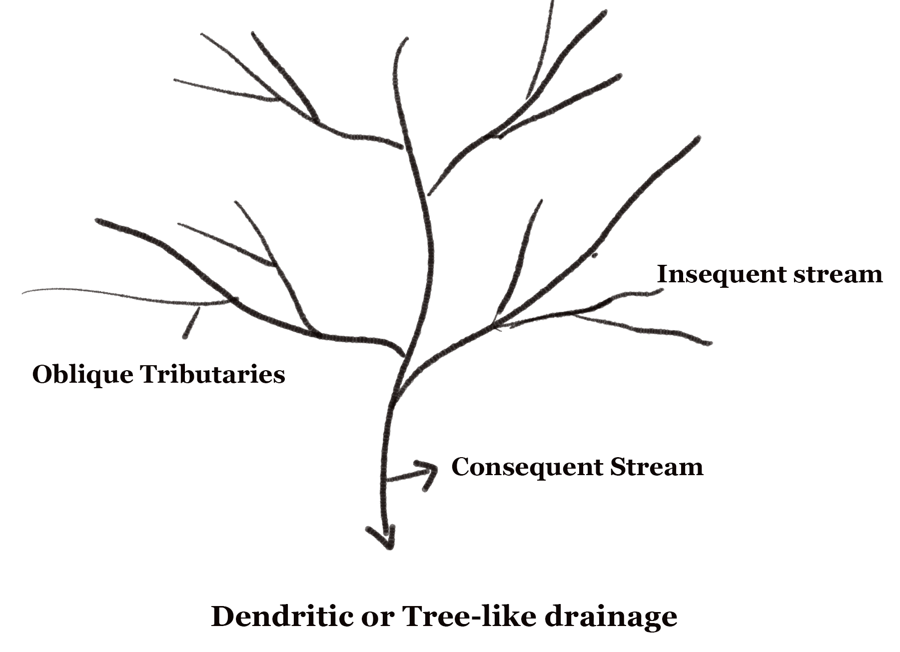 dendritic drainage definition
