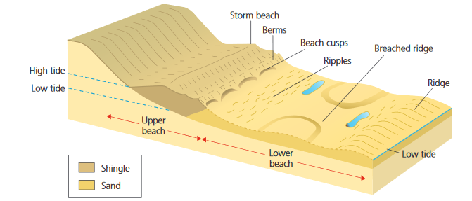 Erosion is a mechanical and chemical process that influences the coastal landscape.