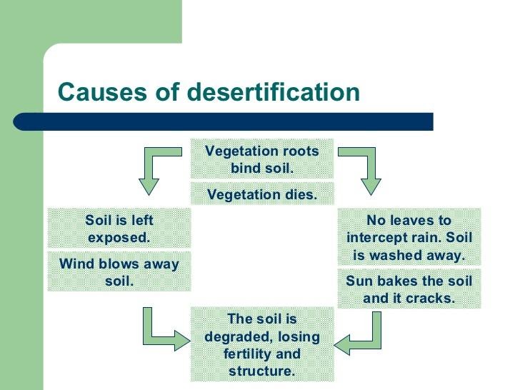 formulating a hypothesis of desertification
