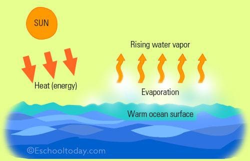 water cycle evaporation assignment
