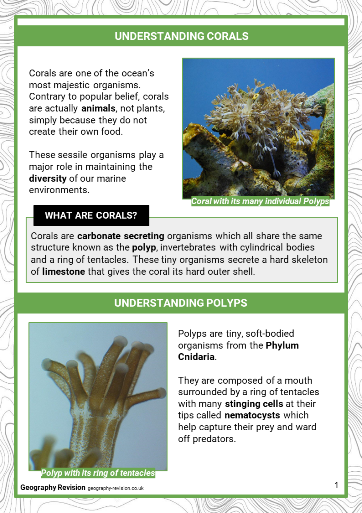 Coral Reefs - Revision Notes 1