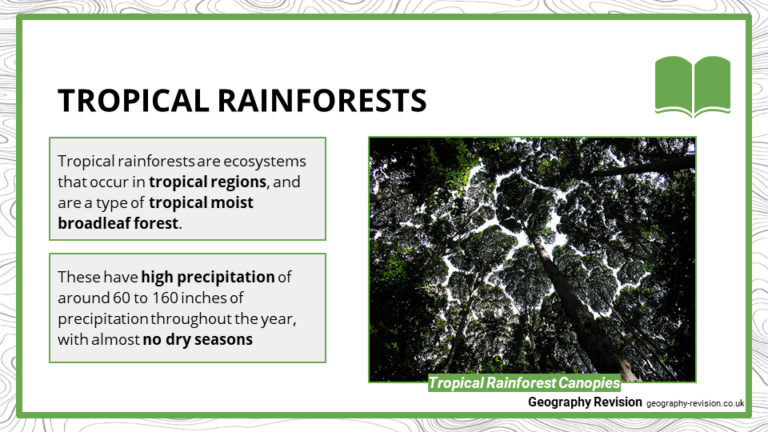 Tropical Rainforest | GCSE Geography Resources & Revision