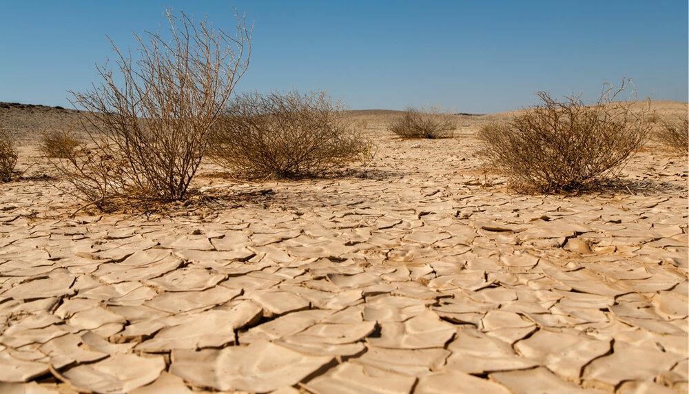 Desertification is the process of land degradation caused by factors including climate change and human activity.