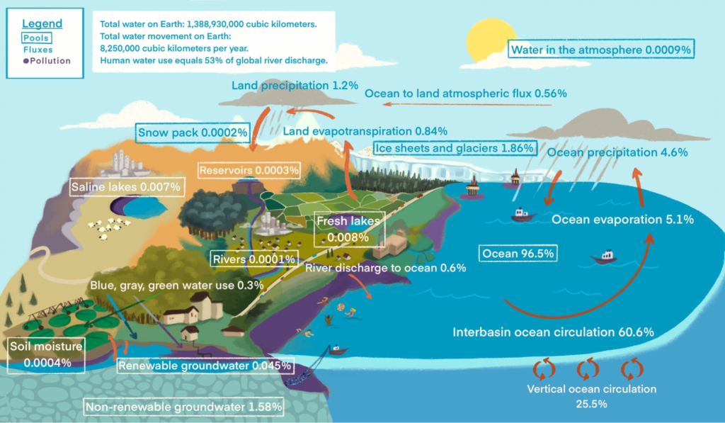 Water Carbon Climate: The water cycle