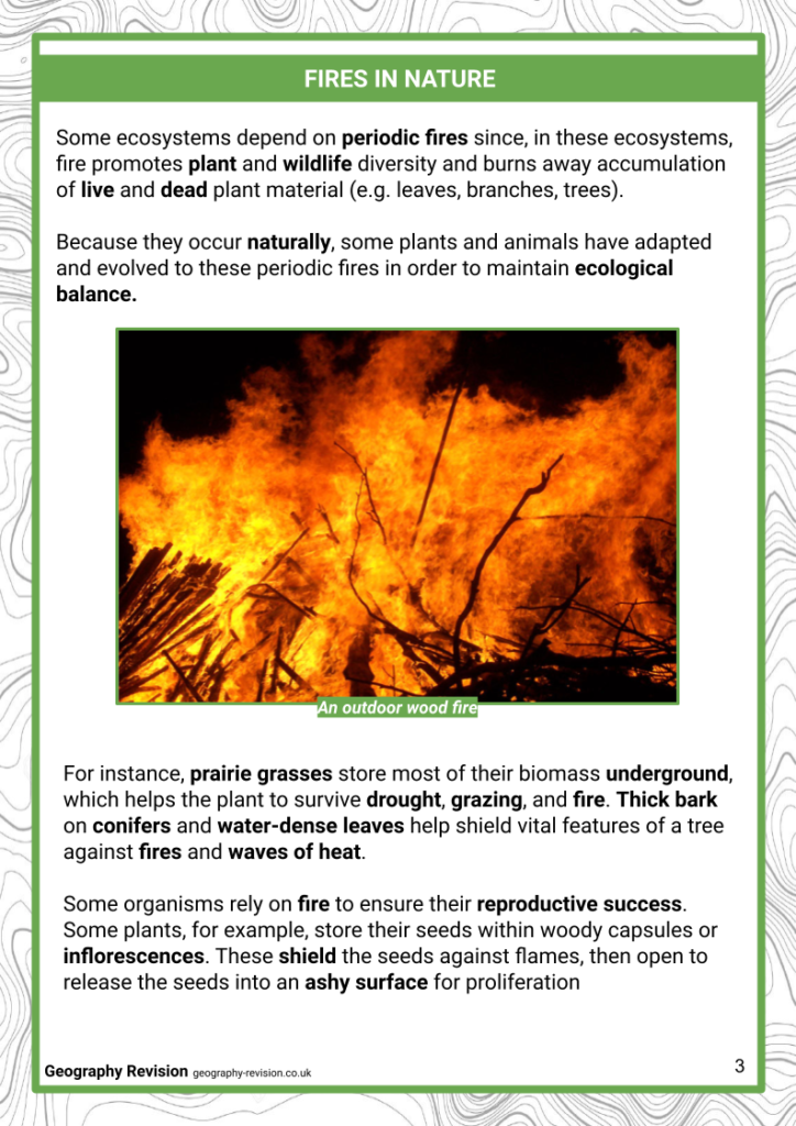 Fire Hazards - Revision Notes
