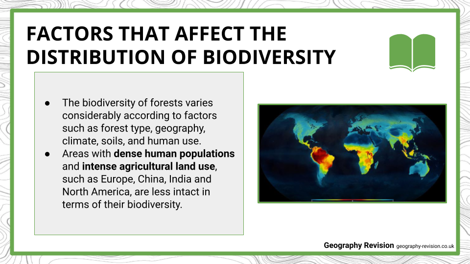 Biodiversity - Presentation (2)