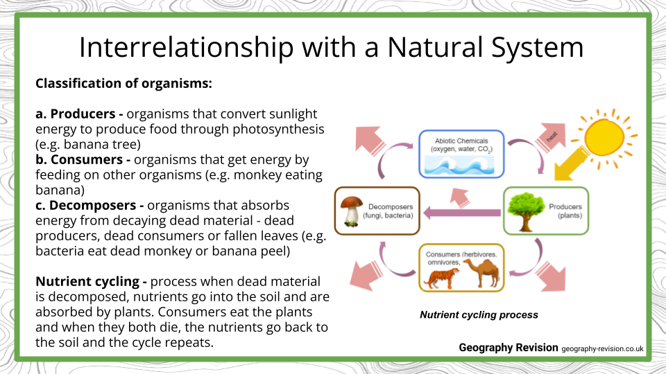 Ecosystems - Presentation 1