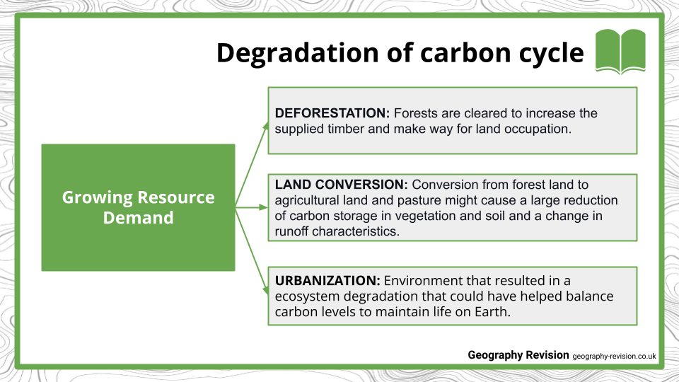 Carbon Cycle - Presentation (1)