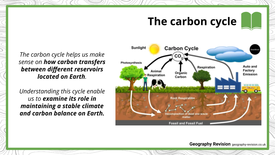 Carbon Cycle - Presentation