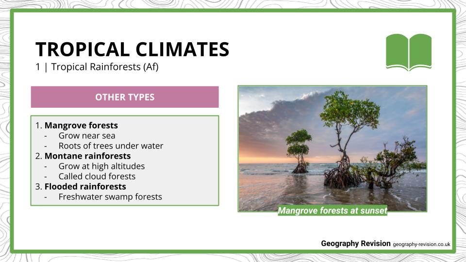 Tropical-Environments-Presentation-1.jpg